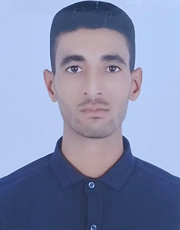 مجتبی علی زاده
