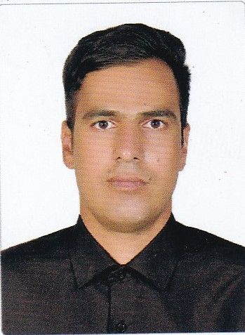 رضا محمودی زو
