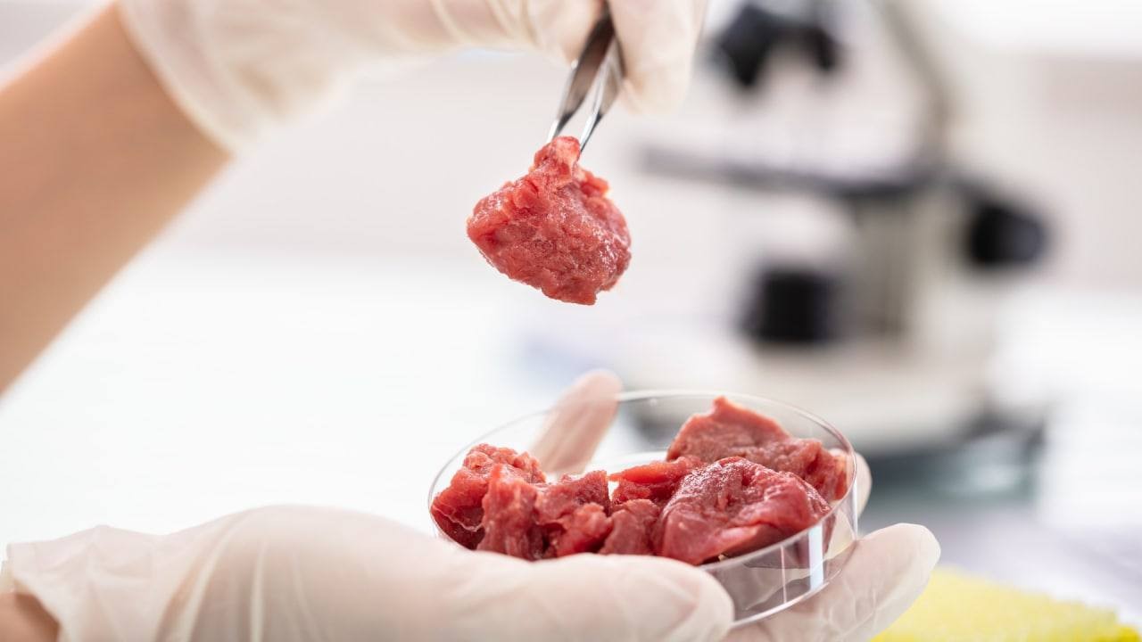 تحولی در صنعت غذایی: برای اولین بار FDA برای گوشت آزمایشگاهی مجوز صادر کرد
