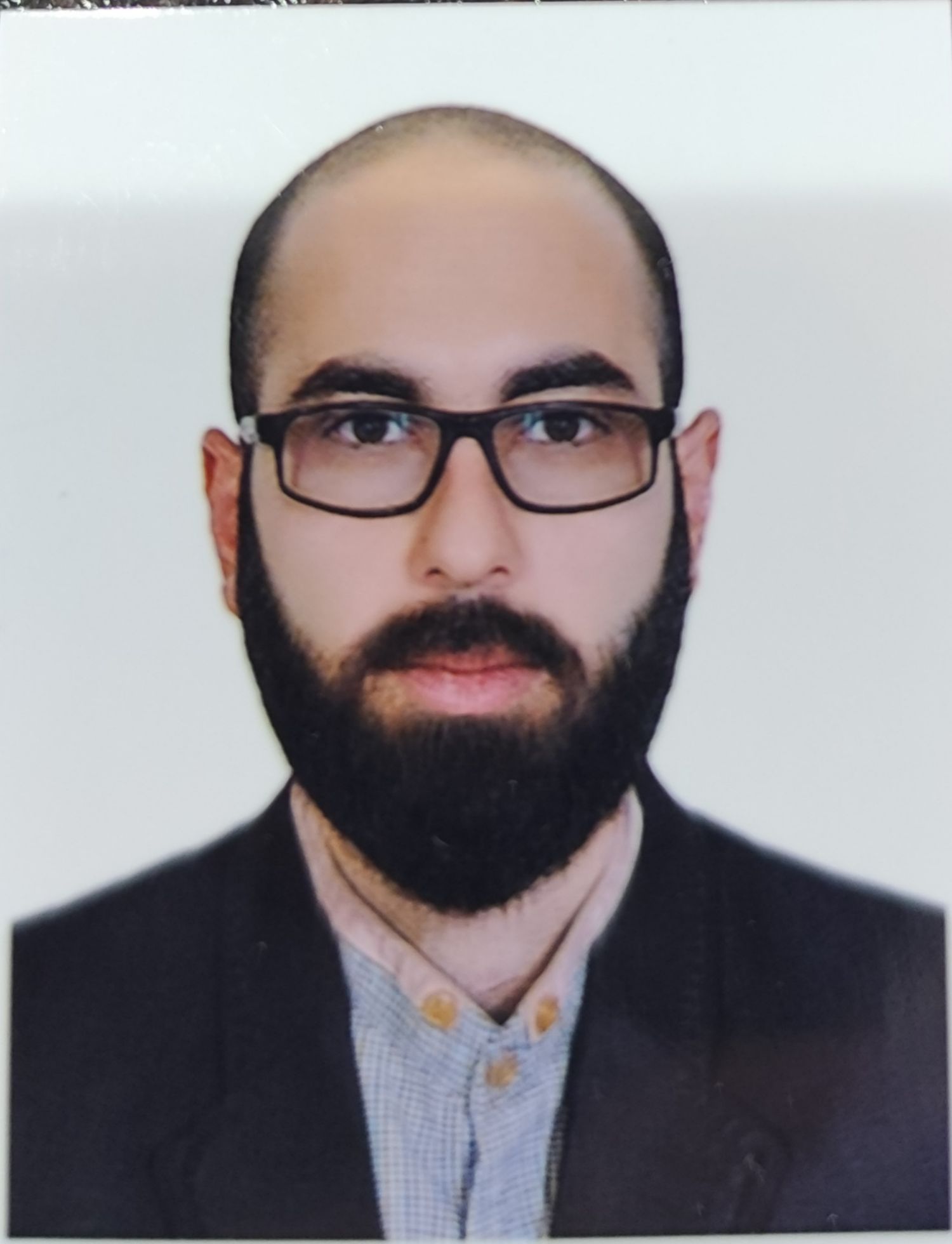 حامد پورغنی